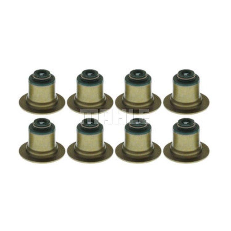 Valve Stem Seal Set