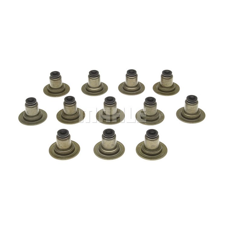 Valve Stem Seal Set