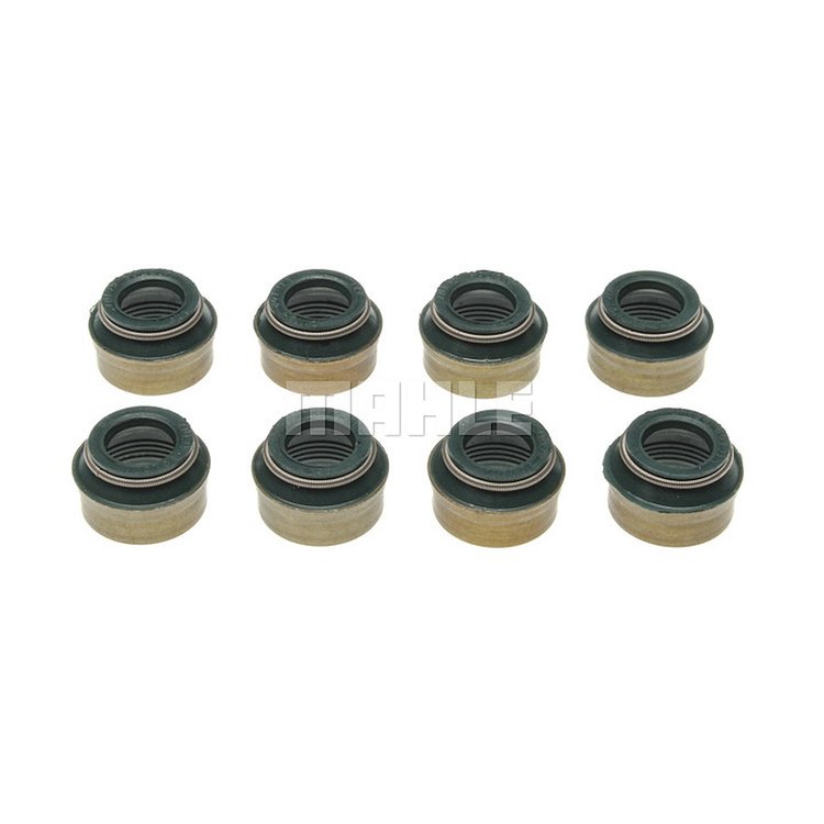 Valve Stem Seal Set
