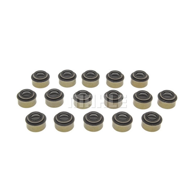 Valve Stem Seal Set