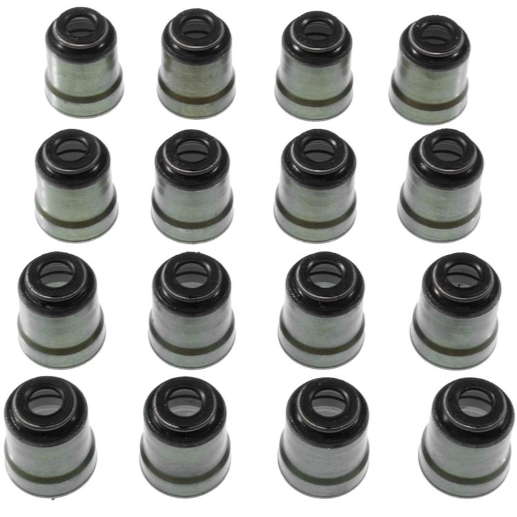 Valve Stem Seal Dod-Trk 287 4.7L 2008-2012