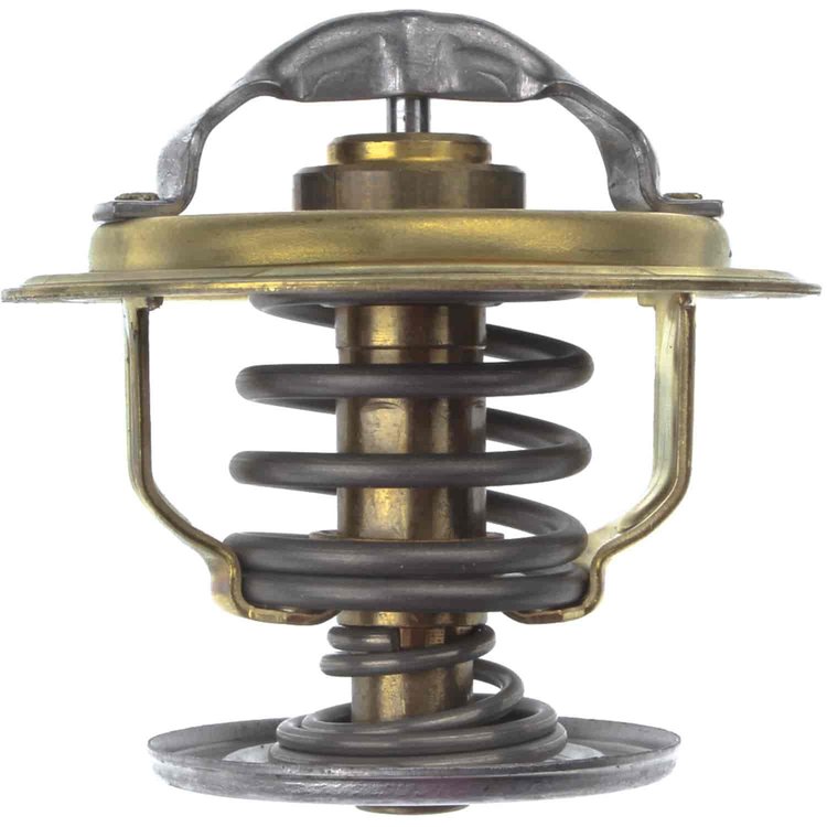 Thermostat Insert 2005-2006 Volkswagen Jetta TDI with L4 1.9L Diesel