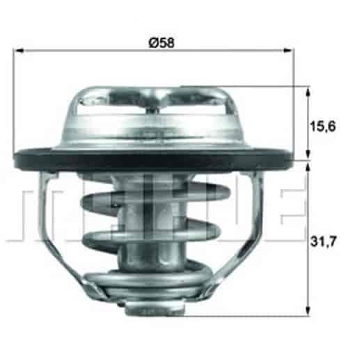 Thermostat Insert 2000-2014 Various Buick/Chevy/GMC/Olds/Pontiac/Saab/Saturn with L4 Ecotec 2.0/2.2/2.4L
