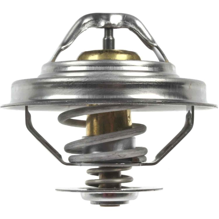 Thermostat Insert 1991-1999 BMW 3 Series/5 Series/M3/Z3 with L4 1.8 ; L6 2.0/2.5/2.8/3.2L