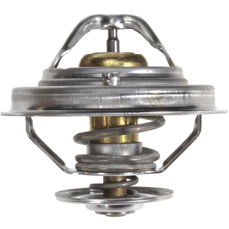 Thermostat Insert 2000-2005 Audi A4/A6 & Volkswagen Passat with V6 2.8L
