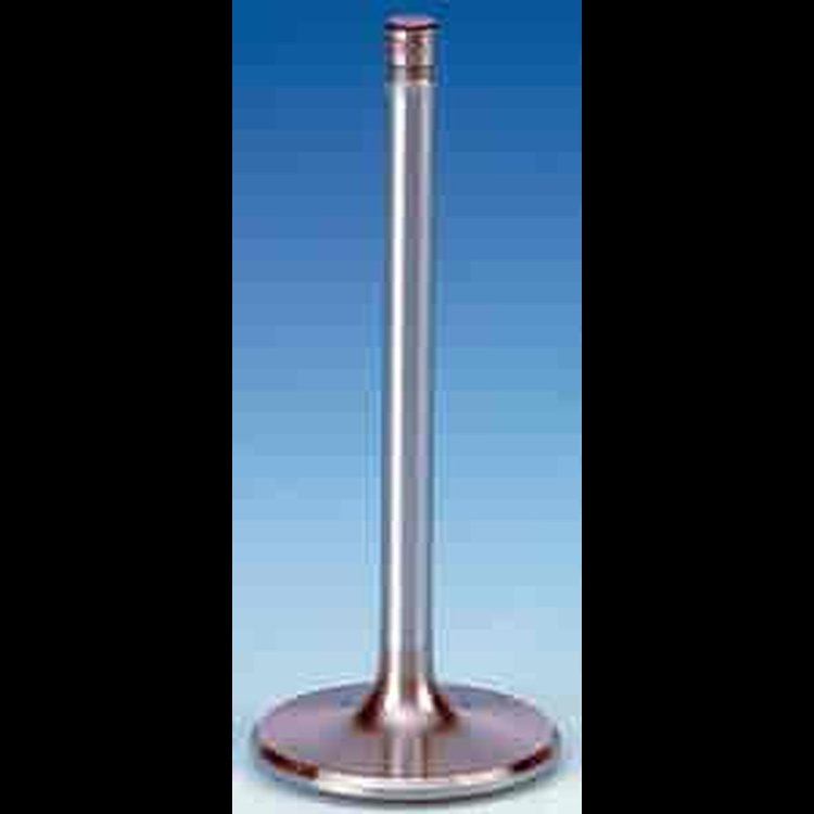 Street Stainless Valves Big Block Chrysler