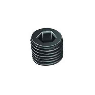 1/4in Pipe Plug