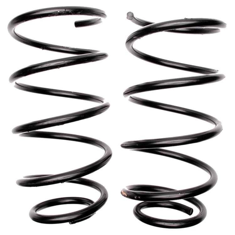 Coil Spring Rear