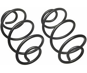 Coil Spring Rear