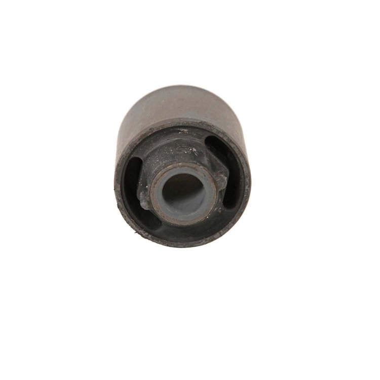 Trailing Arm Bushing