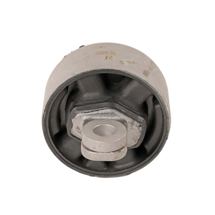 Trailing Arm Bushing