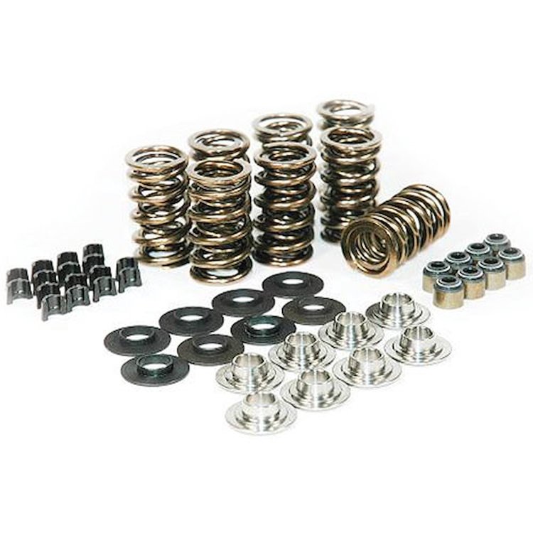 GM LS Series Gold Dual Valve Spring Kit Includes: 16 ProMaxx Dual Gold Springs
