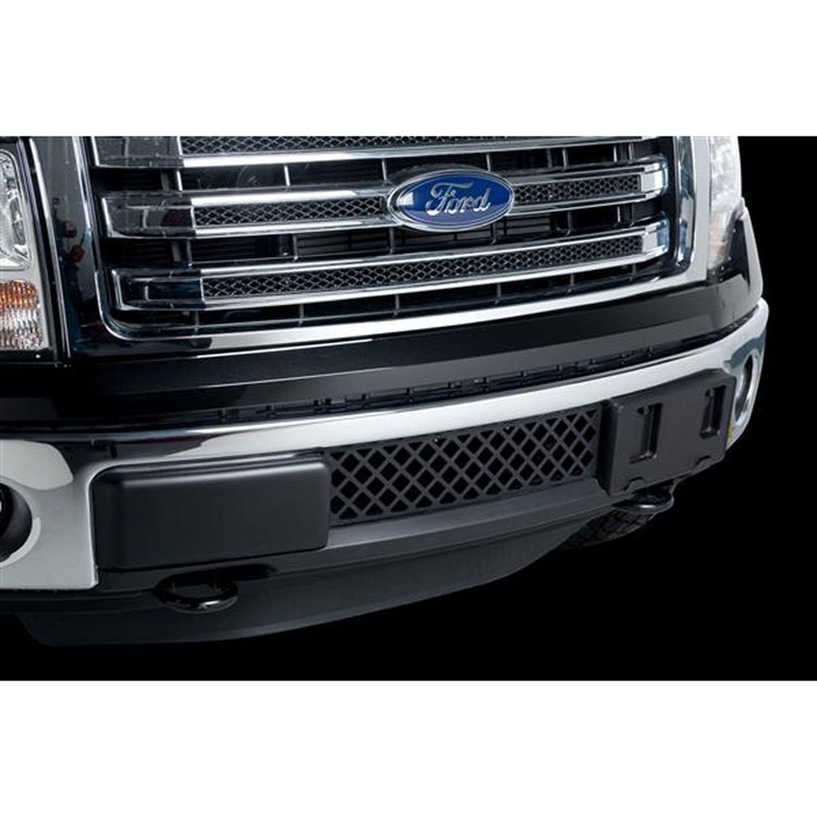 Bumper Grille Insert 2011-14 Ford F150 Ecoboost