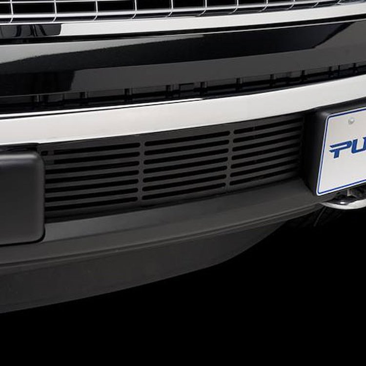 Bumper Grille Insert 2011-14 Ford F150 EcoBoost