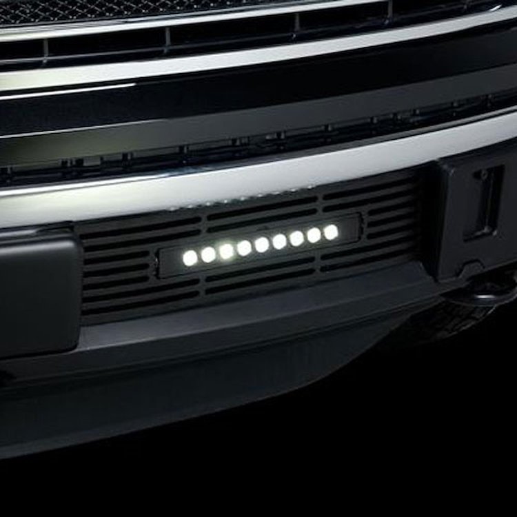 Bumper Grille Insert 2011-14 Ford F150 EcoBoost