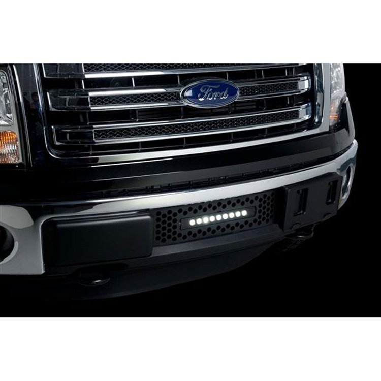Bumper Grille Insert 2011-14 Ford F150 EcoBoost