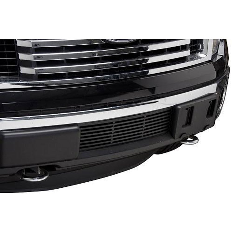 Bumper Grille Insert 2011-14 Ford F150 EcoBoost