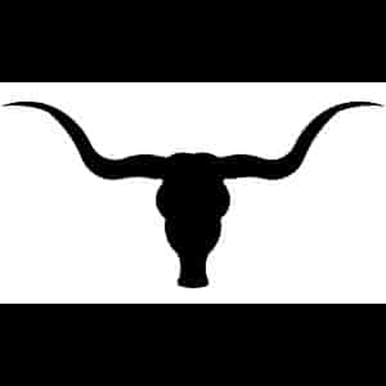 Long Horn Bull