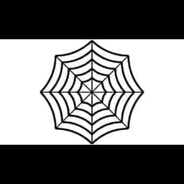 Spider Web