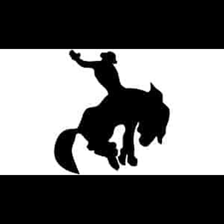 Bucking Bronco