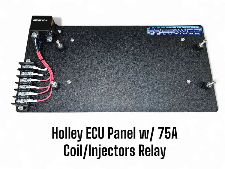 RWS-ECUPNL-RL-1625 Holley EFI Dominator ECU Cage Panel Mount [1.625 in. Clamps, 1/8 in. Aluminum]