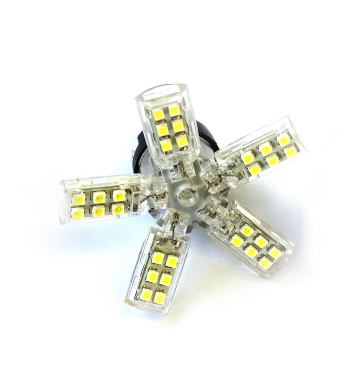 BACK UP LIGHT