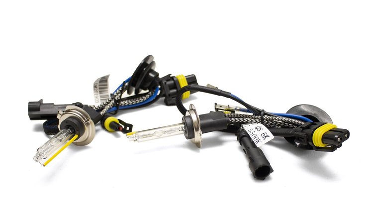 HID CANBUS BULB PAIR