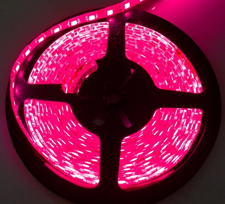 INT. ACCENT LIGHT