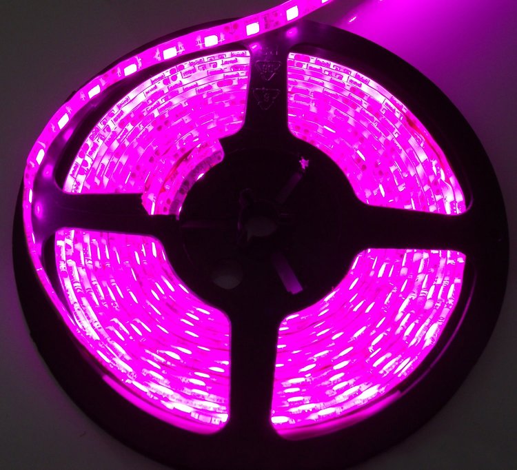 INT. ACCENT LIGHT