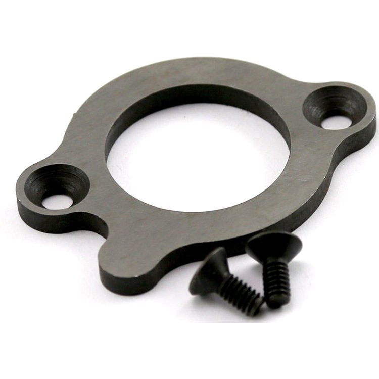 Camshaft Thrust Retaining Plate and Bolts