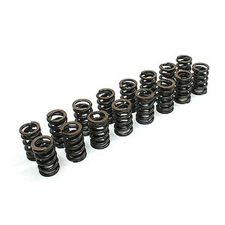 Single Spring .006 lift 1.250 Dia