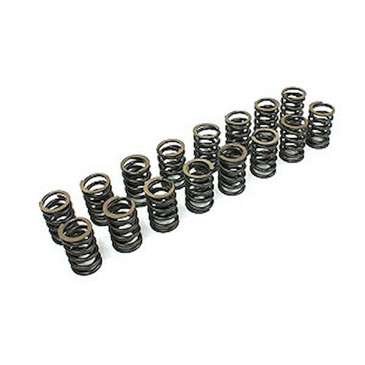 Single with a Damper Valve Springs