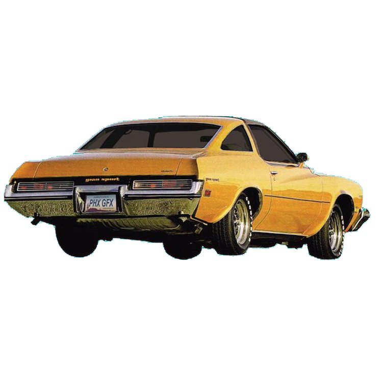 Gran Sport Decal Kit for 1973 Buick Century Gran Sport