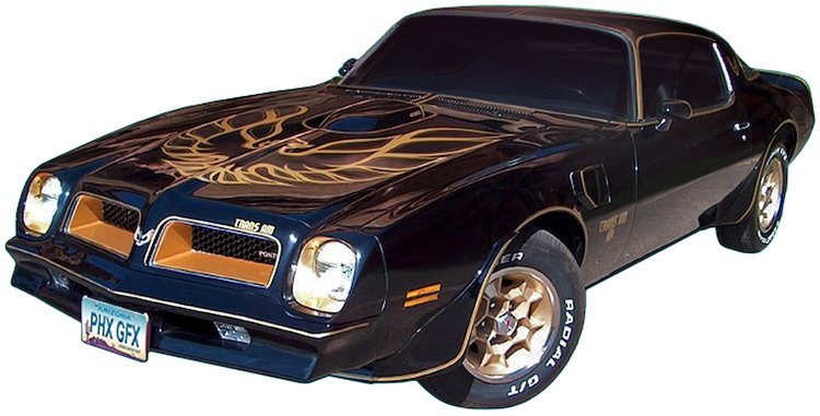 Black Special Edition Decal Kit for 1976 Pontiac Firebird Trans Am