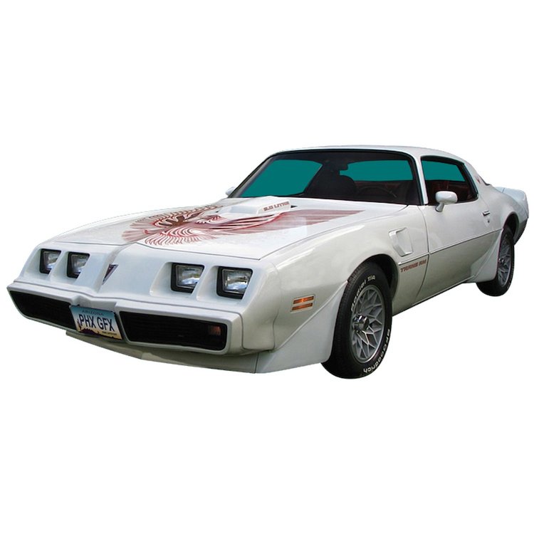 Complete Trans Am Decal Kit for 1981 Pontiac Firebird Trans Am