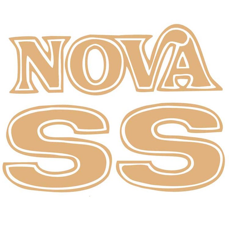 1975-76 NOVA SS NAMES KIT