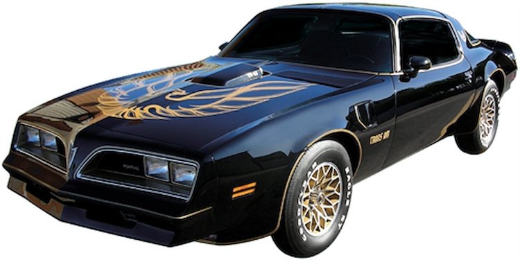 Special Edition Premolded Stripes Kit for 1976-1978 Firebird Trans Am