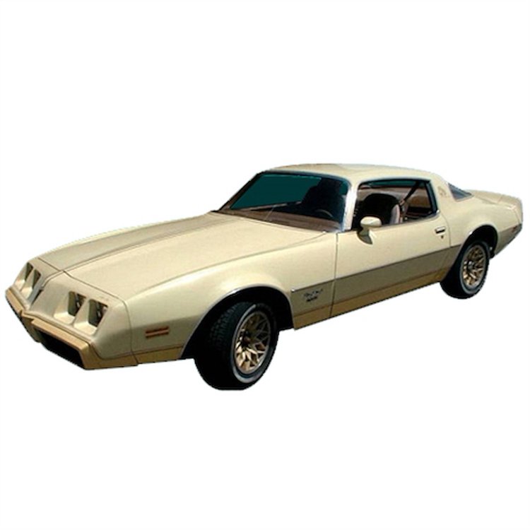 Premolded Lower Body Stripe Kit for 1980-1981 Firebird Esprit Yellow Bird