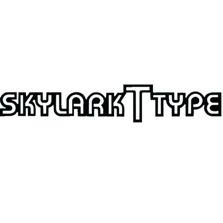 "Skylark T-Type" Decals for 1983-1984 Buick Skylark