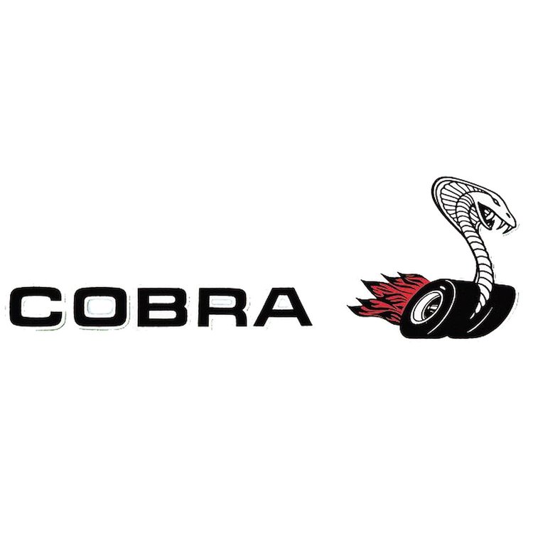 Torino Cobra Decal for 1970 Ford Torino