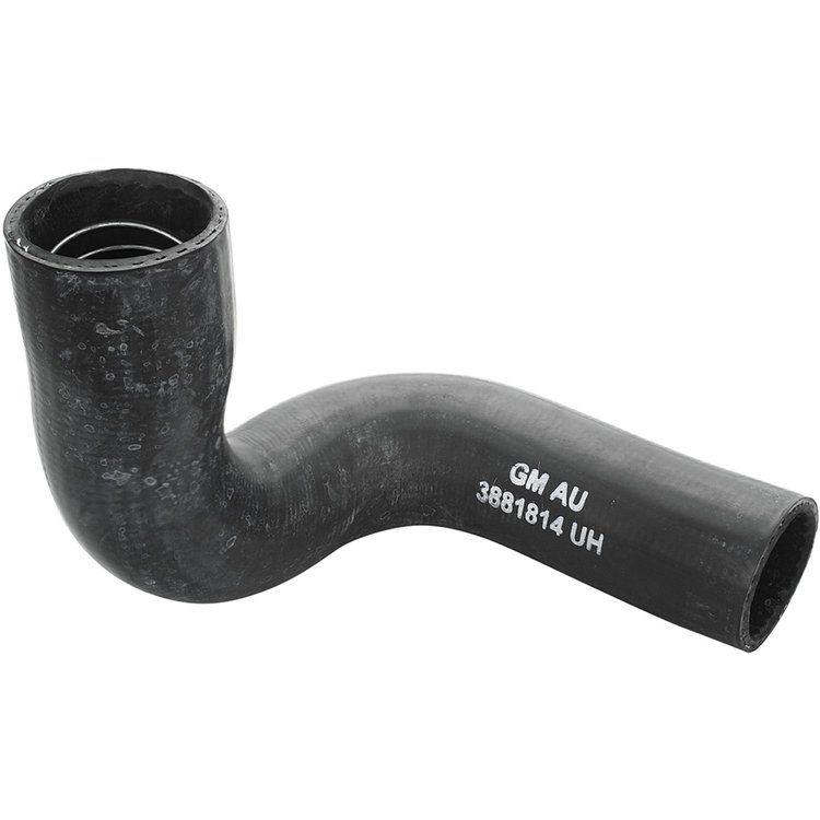 Radiator Hose Lower 1966-67 BB Chevy