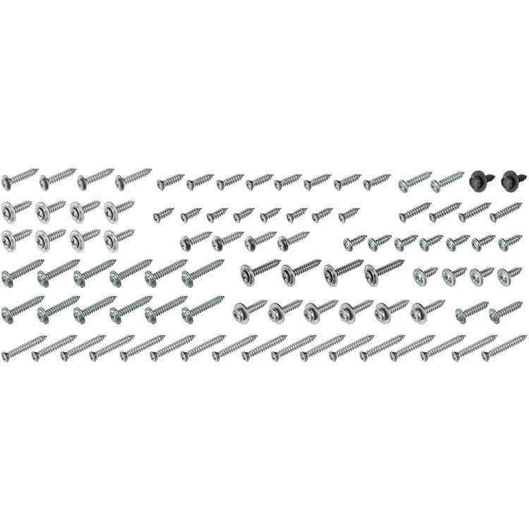Screw Kit Interior 1970 Riviera 100pcs