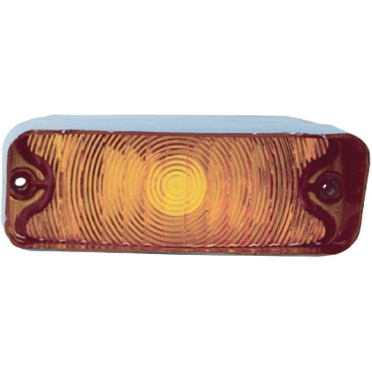 Lens Park Lamp 1973 Chevelle