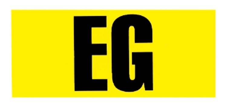 Decal 66-68 Chevelle/El Camino Engine Code 396 375HP EG