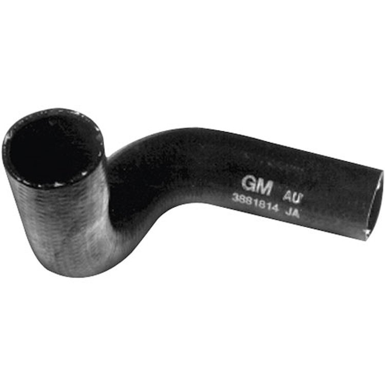 Radiator Hose Lower 1964 GTO