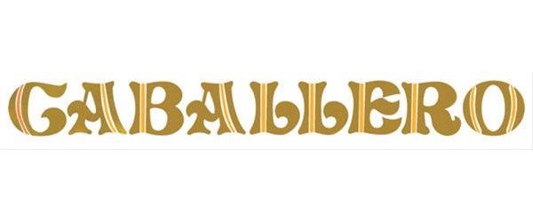 Decal - 1978-87 GMC Tailgate Caballero