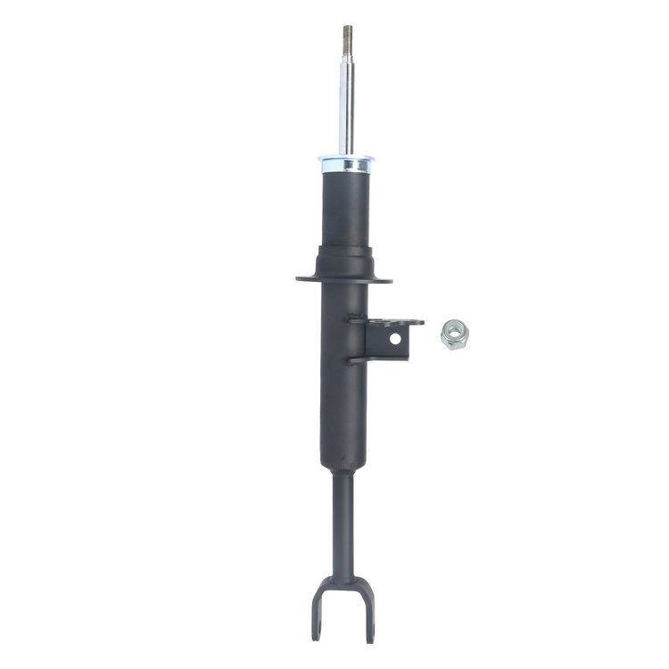 Suspension Strut