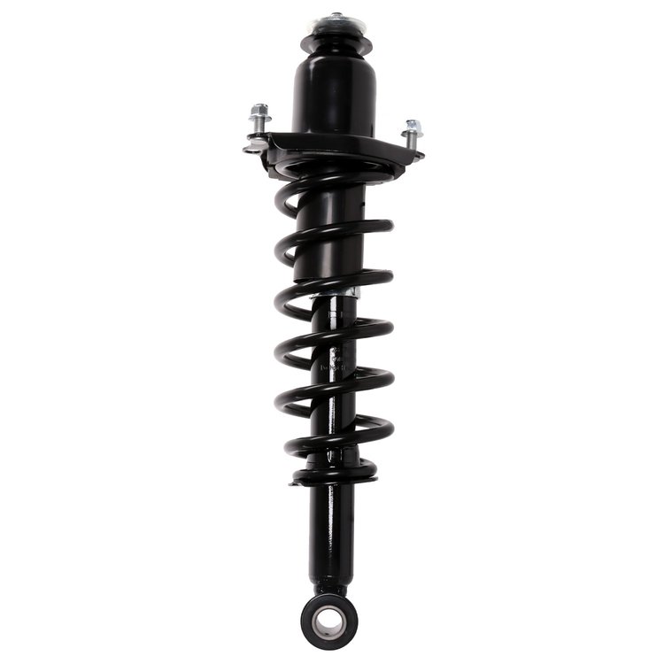 Strut Assembly