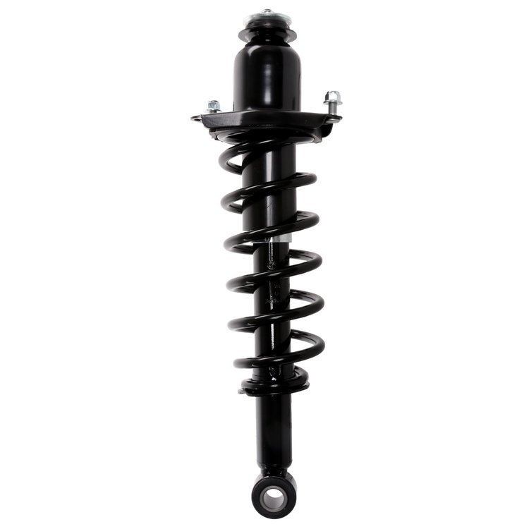 Strut Assembly
