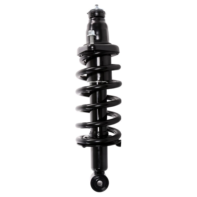 Strut Assembly
